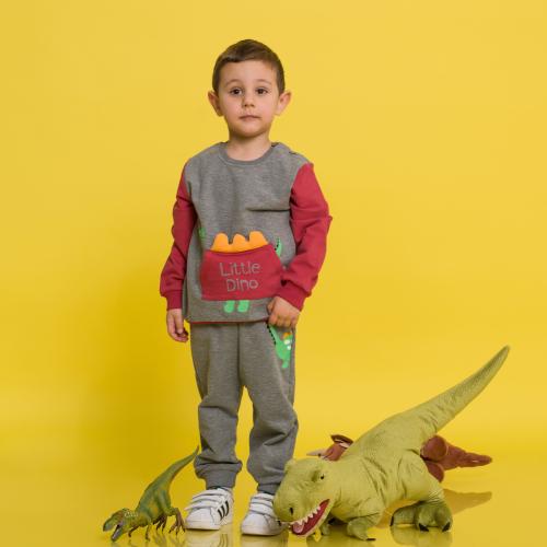 Детски спортен комплект за момче Breeze Little Dino Сив