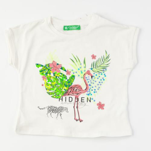 Детски комплект за момиче тениска и къси панталонки Cichlid Flamingo