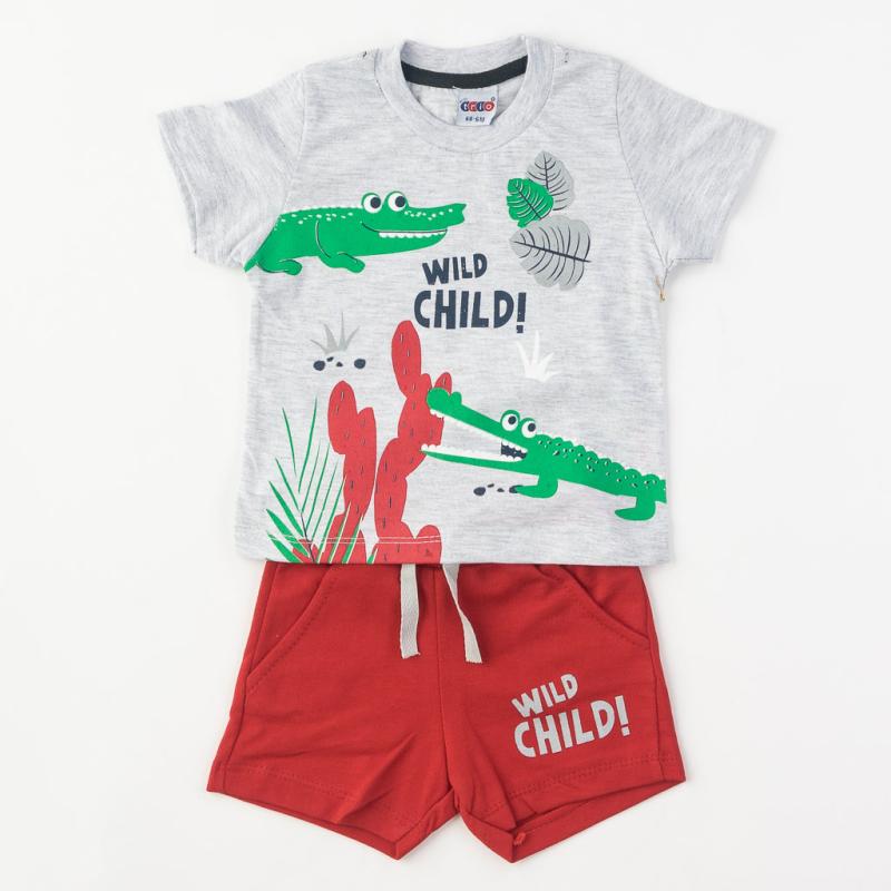 Бебешки комплект  момче Wild child тениска и къси панталонки Сив