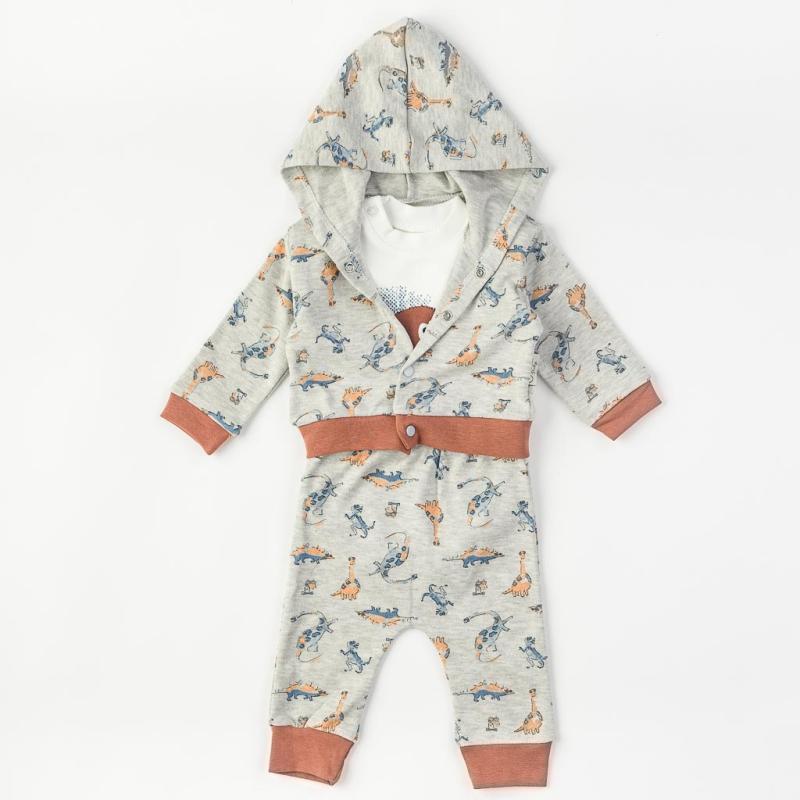 Baby set For a boy 3 parts  Cool dino  Gray