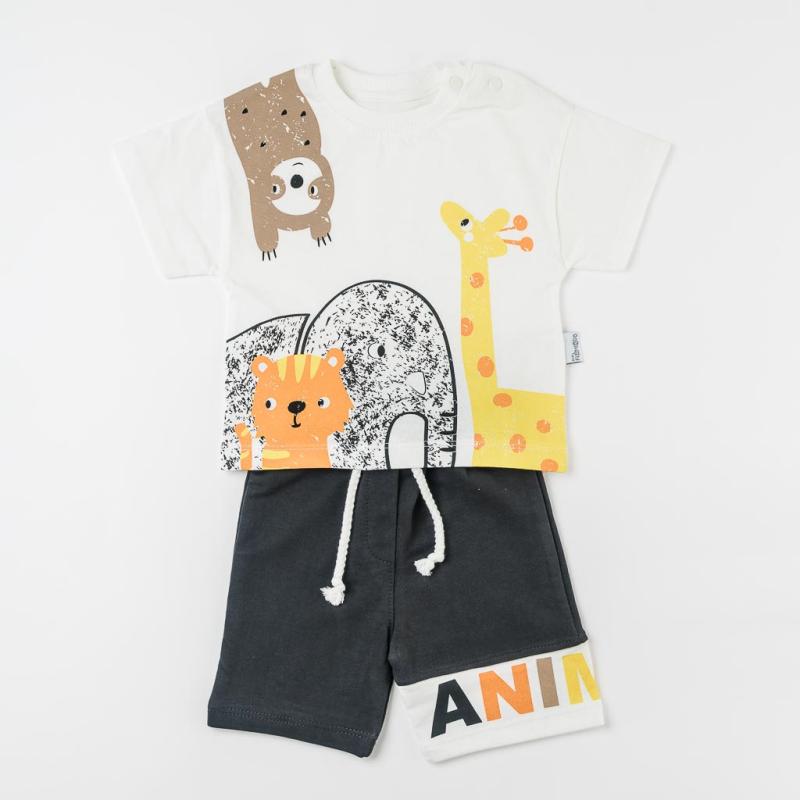 Baby set with short sleeves For a boy  Dreamy  Gray