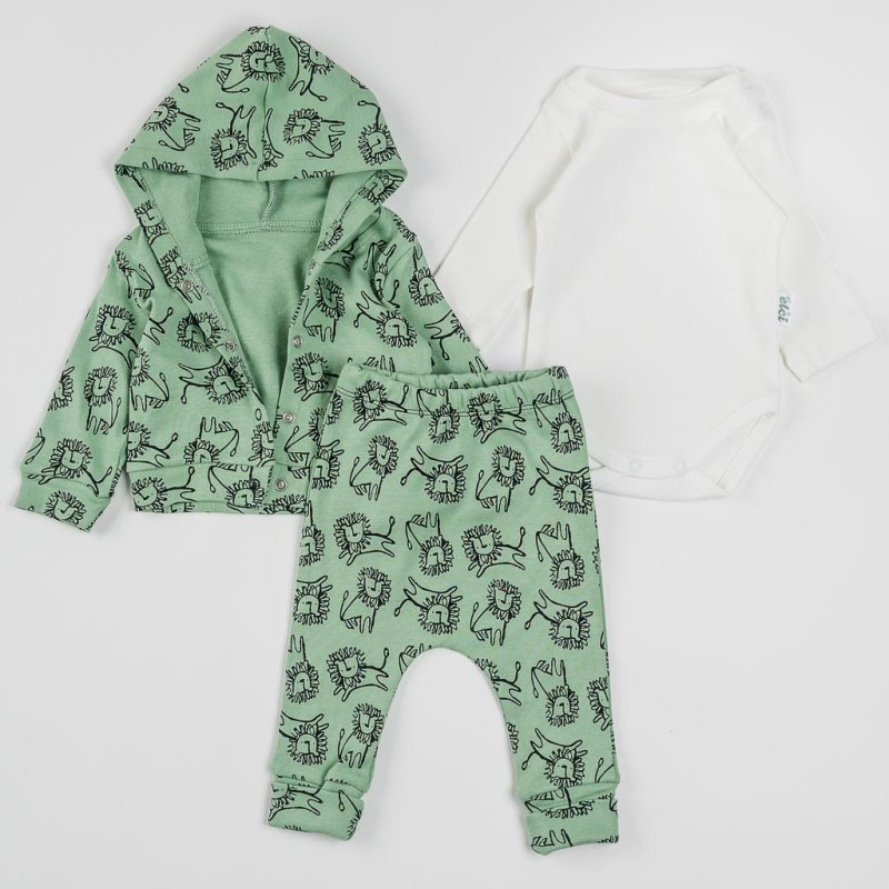 Baby set For a boy  lion   Green