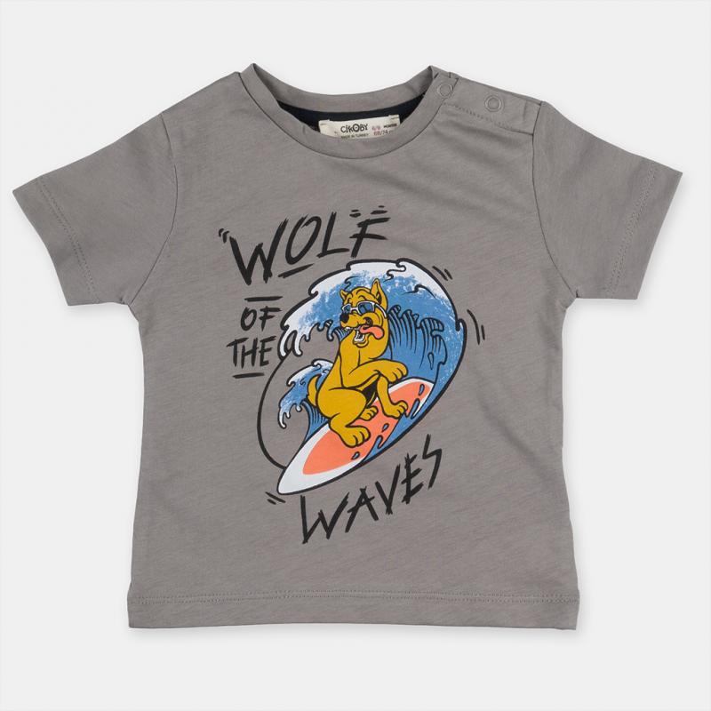 Childrens t-shirt For a boy with print  Wolf Of The Waves   -  Gray